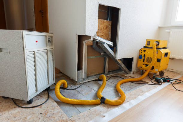 Best Asbestos and Lead Testing During Mold Inspection  in Sprague, WV